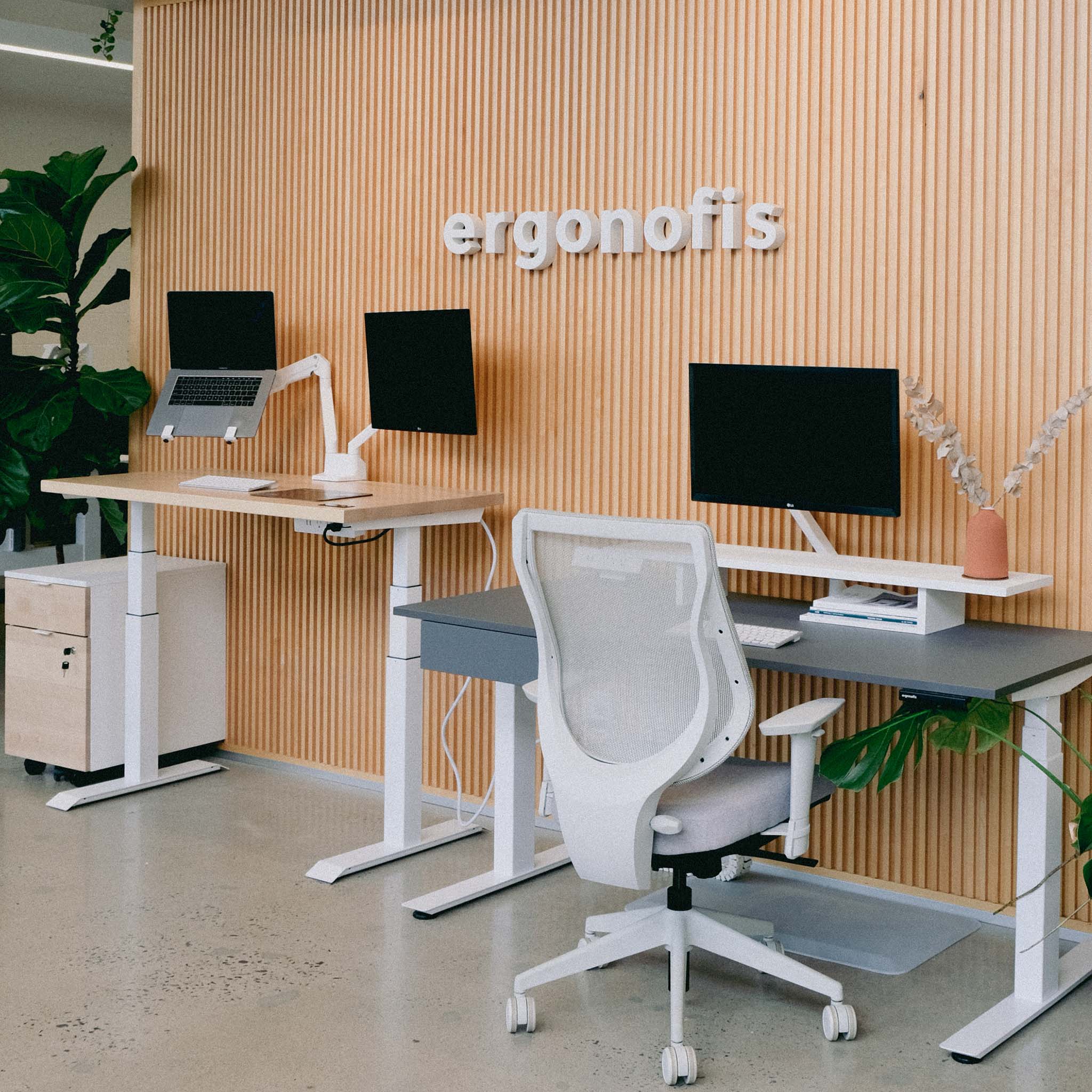 Ergonofis - Standing Desk