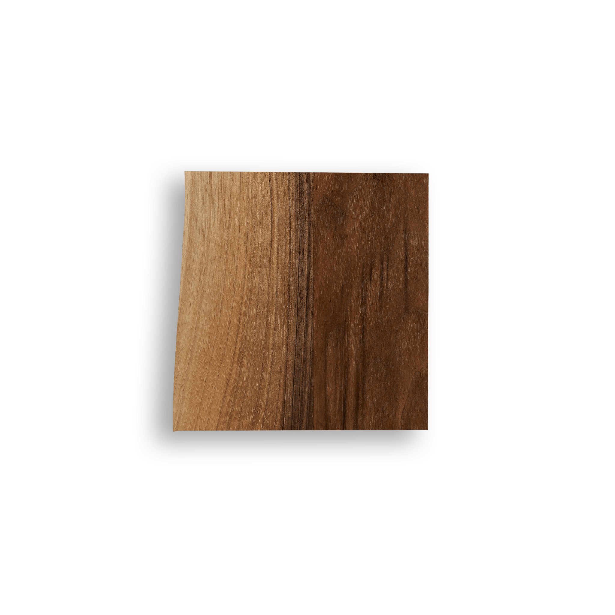 Samples - Ergonofis - Walnut (Live Edge) - Noyer (Bordure Naturelle) - Noyer - walnut