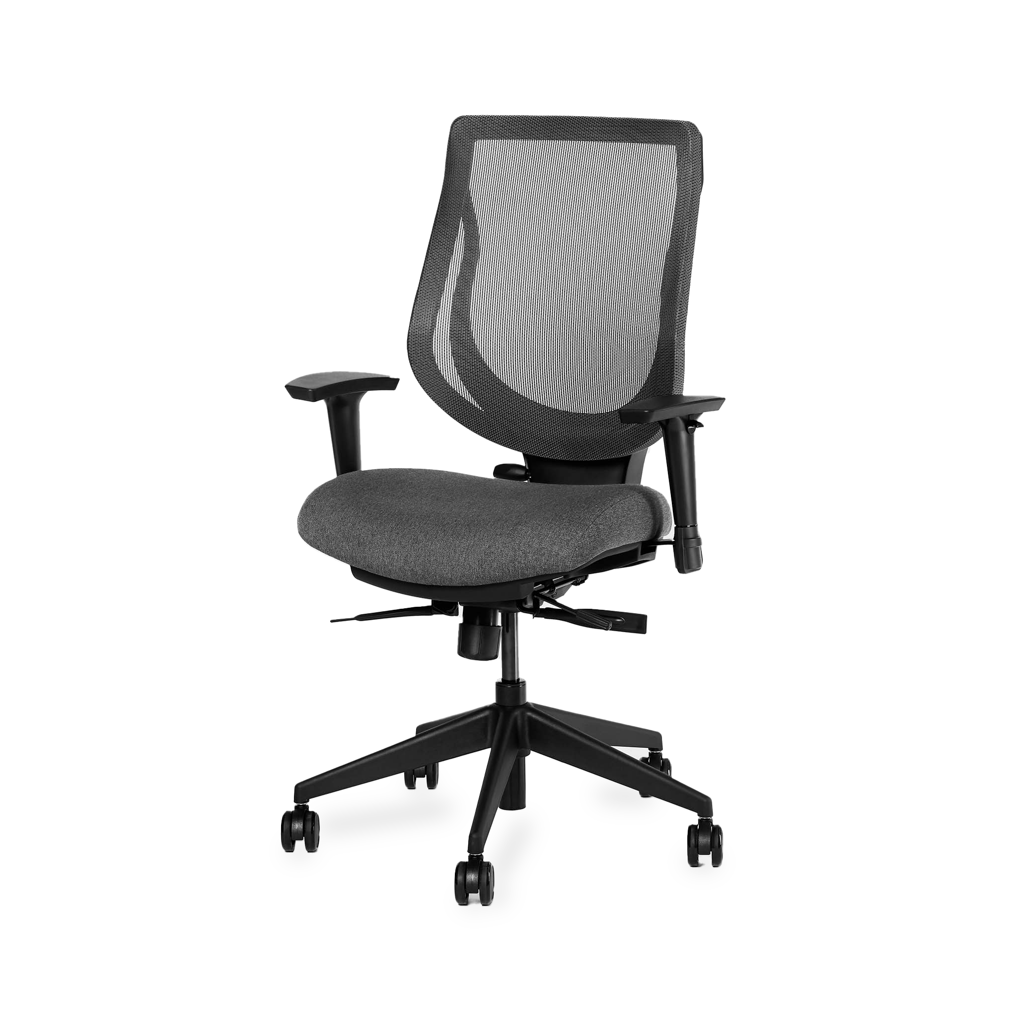 YouToo Ergonomic Chair - Black-Stone – Shadow - Noir-Stone – Shadow - first-image