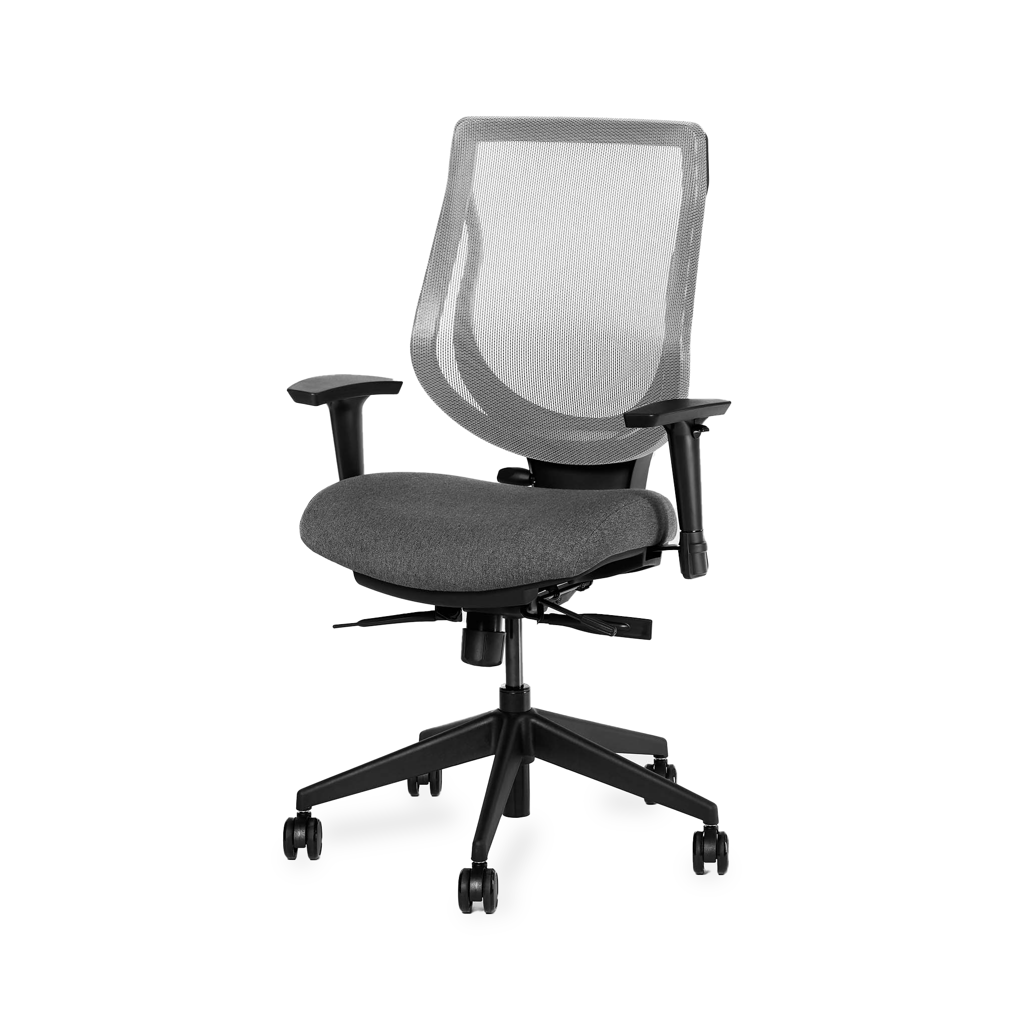 YouToo Ergonomic Chair - Black-Smoke – Shadow - Noir-Smoke – Shadow - first-image
