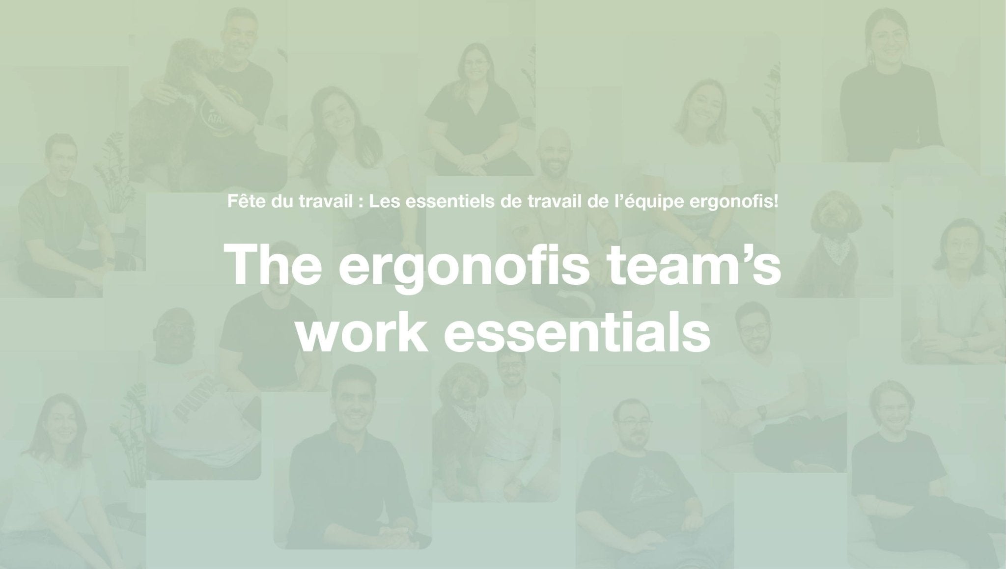 Labour Day: The ergonofis team's work essentials! - Ergonofis