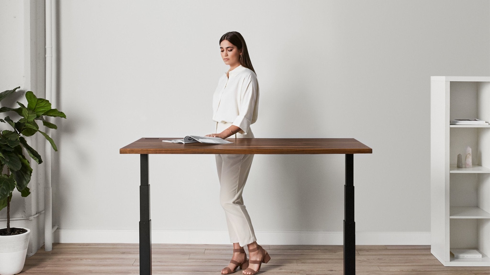 Shopping Guide: How to Choose the Best Wood for Your Standing Desk? - Ergonofis