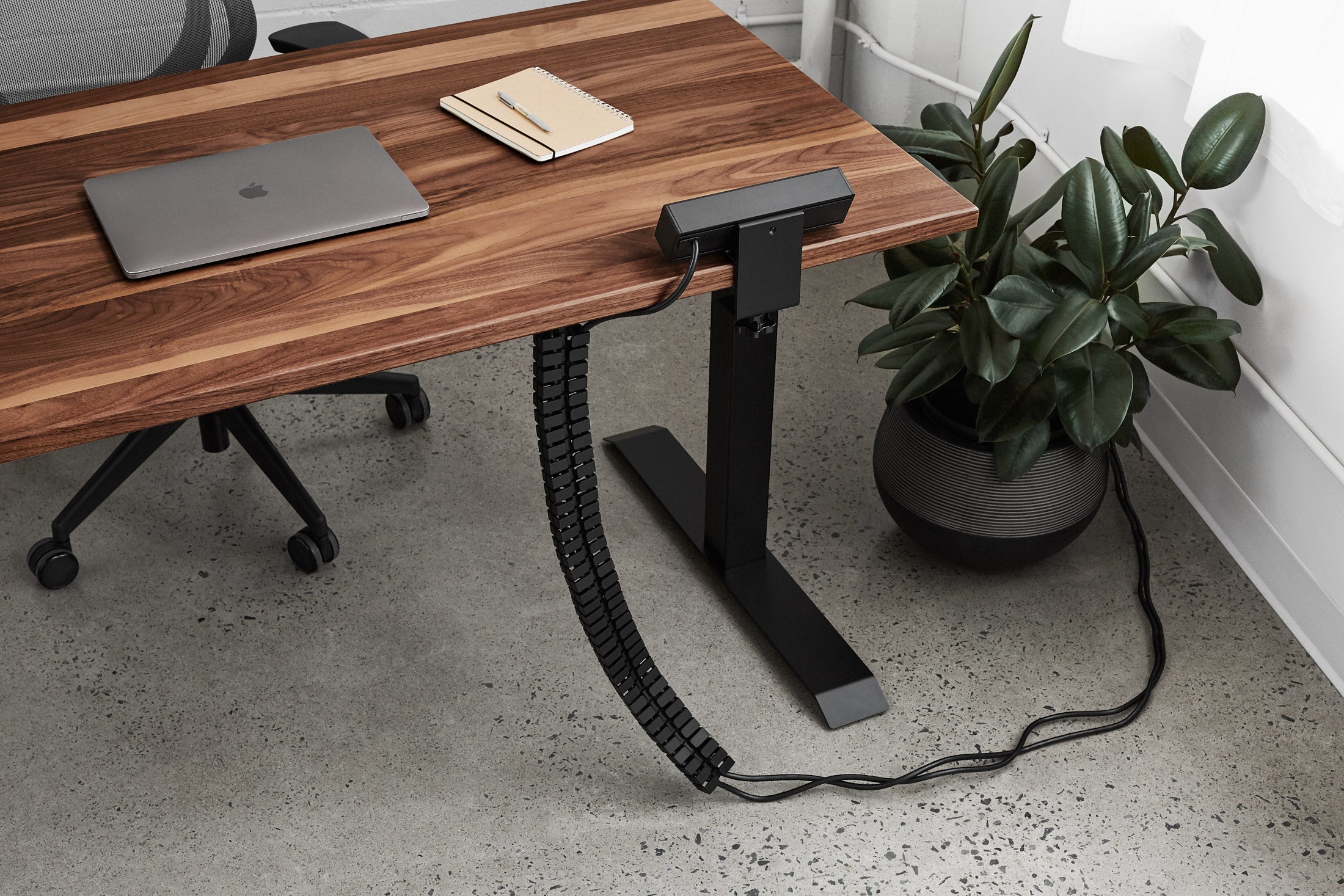 Solid wood desk with deals cable management