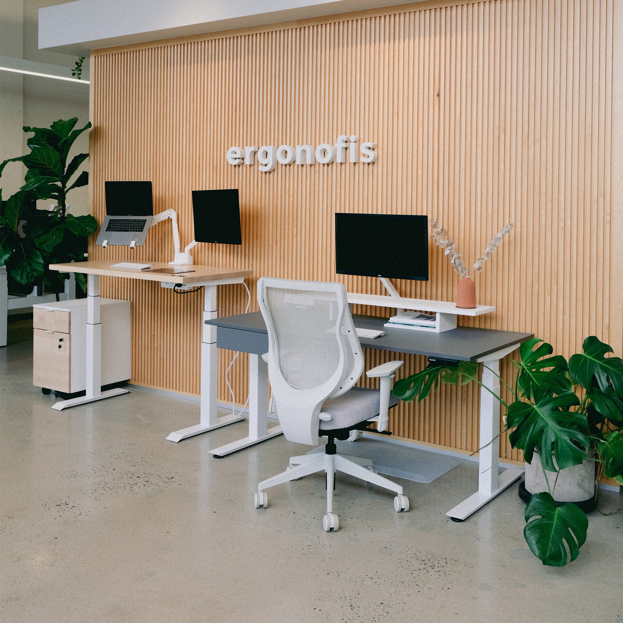 Office Showroom