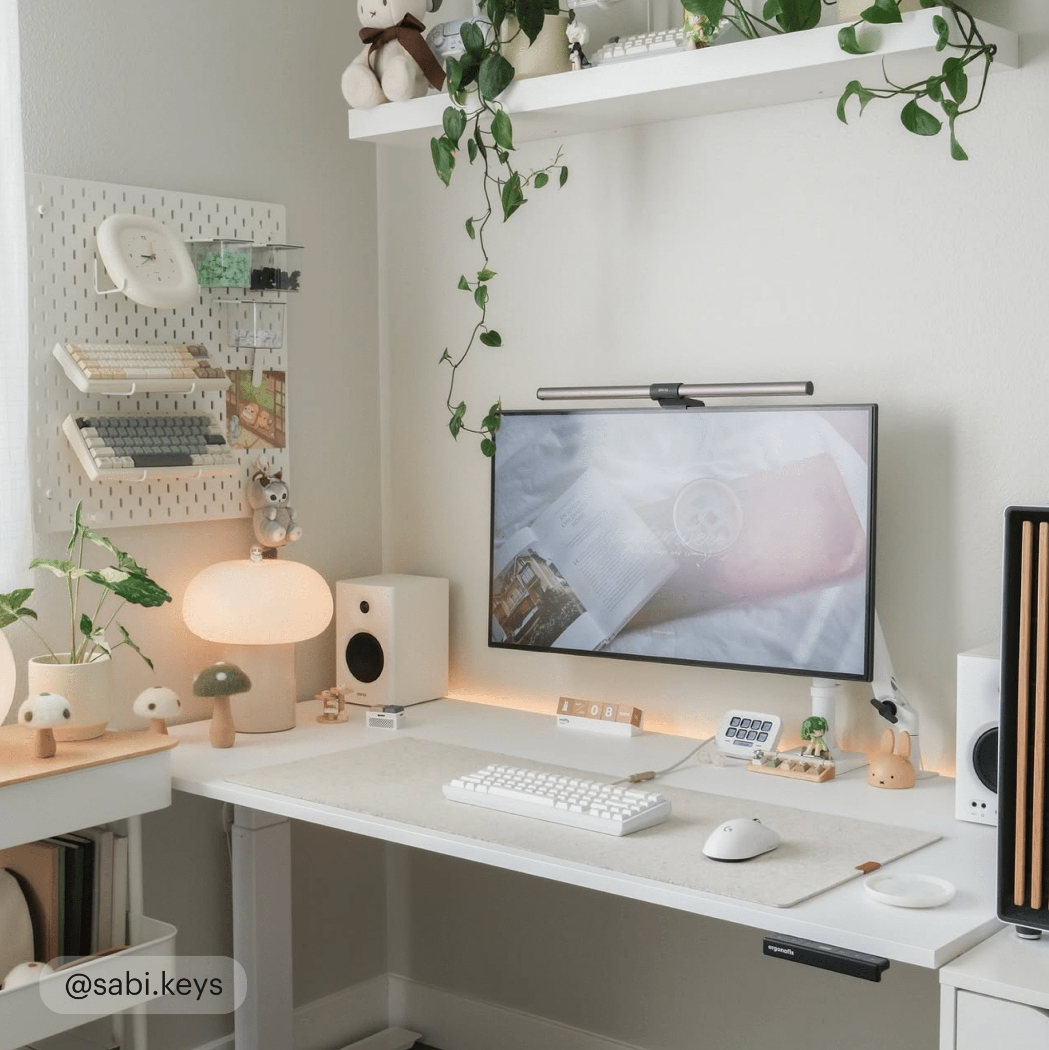 Ergo Frame - White - Blanche