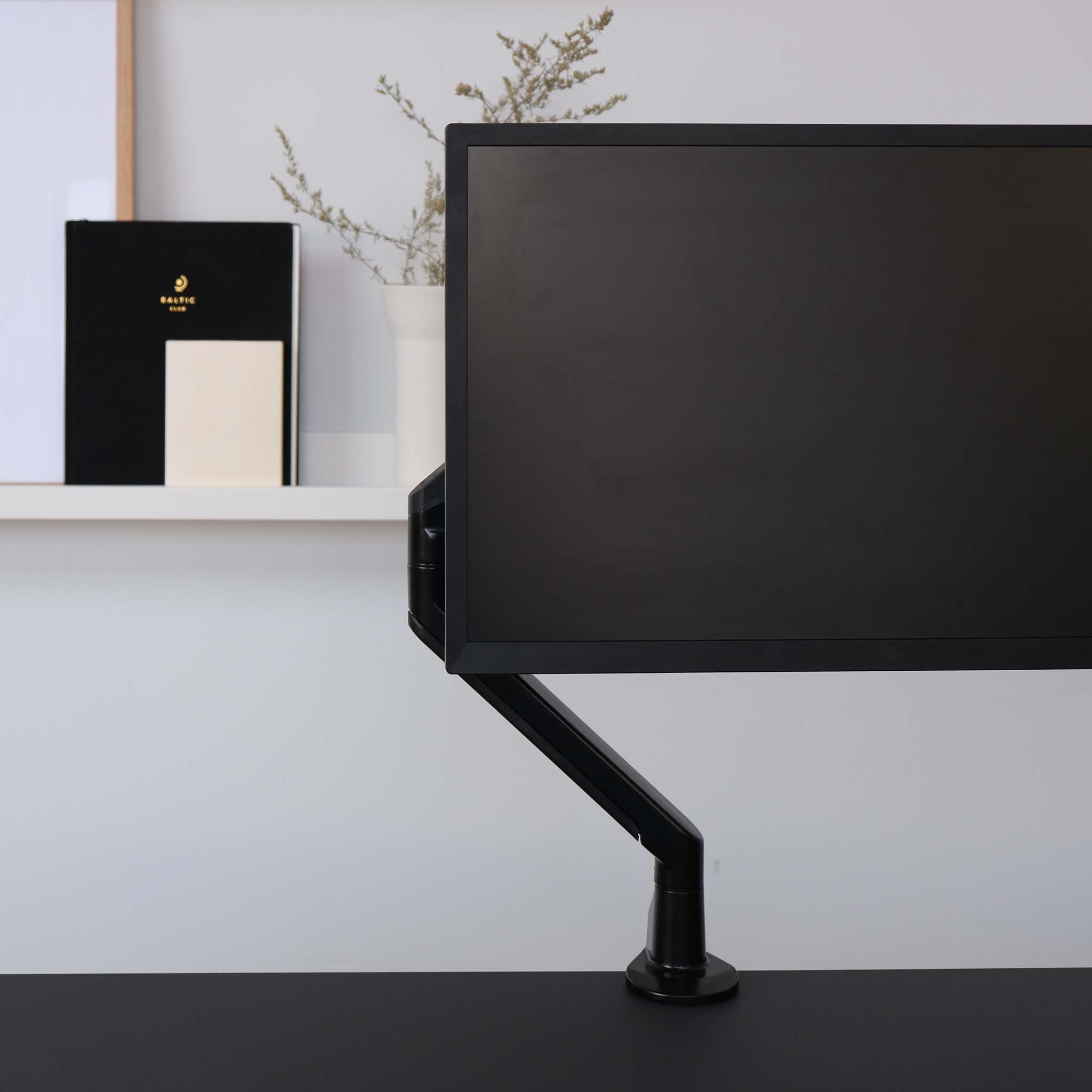 Monitor Arm