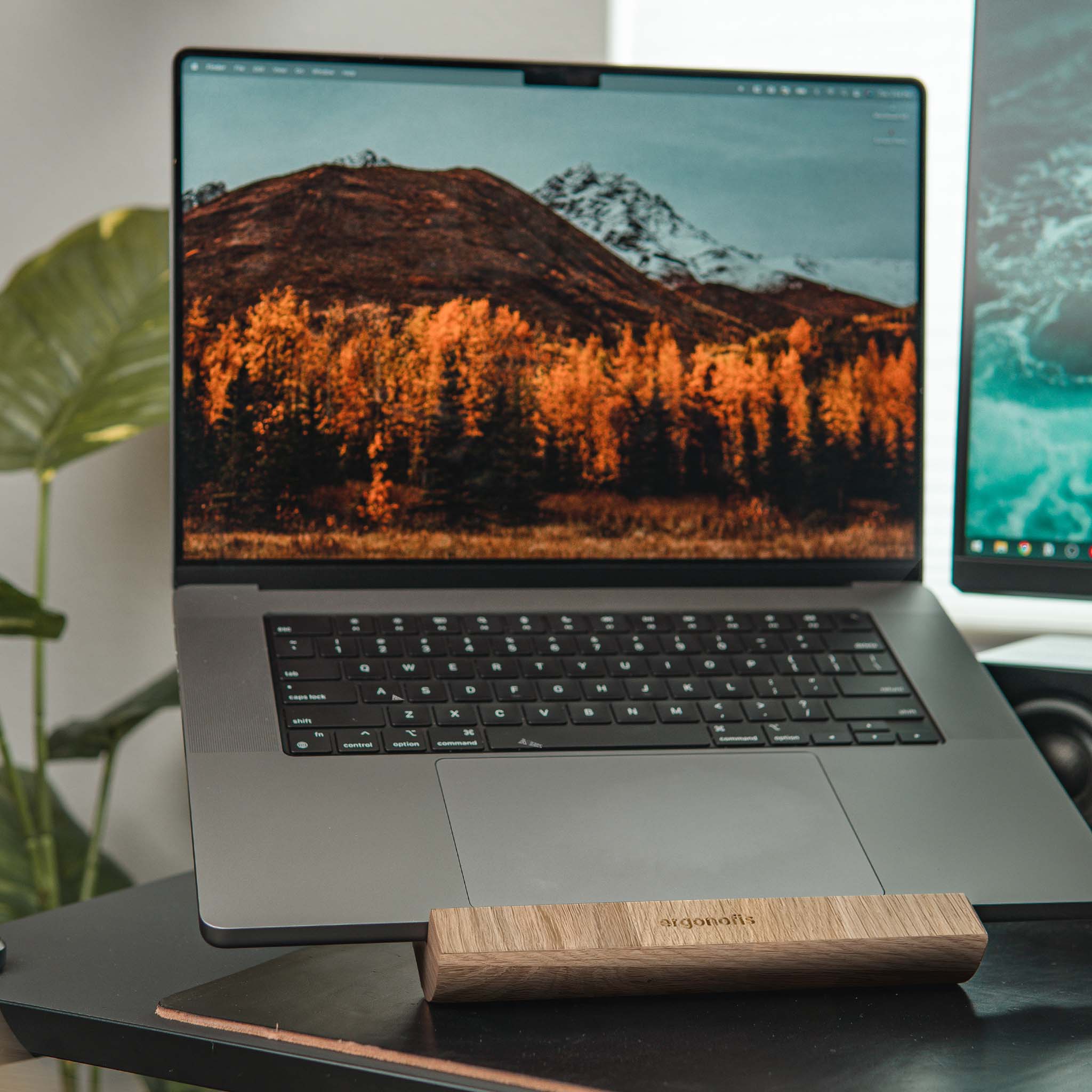 Fold Laptop Stand - White Oak - Chêne Blanc