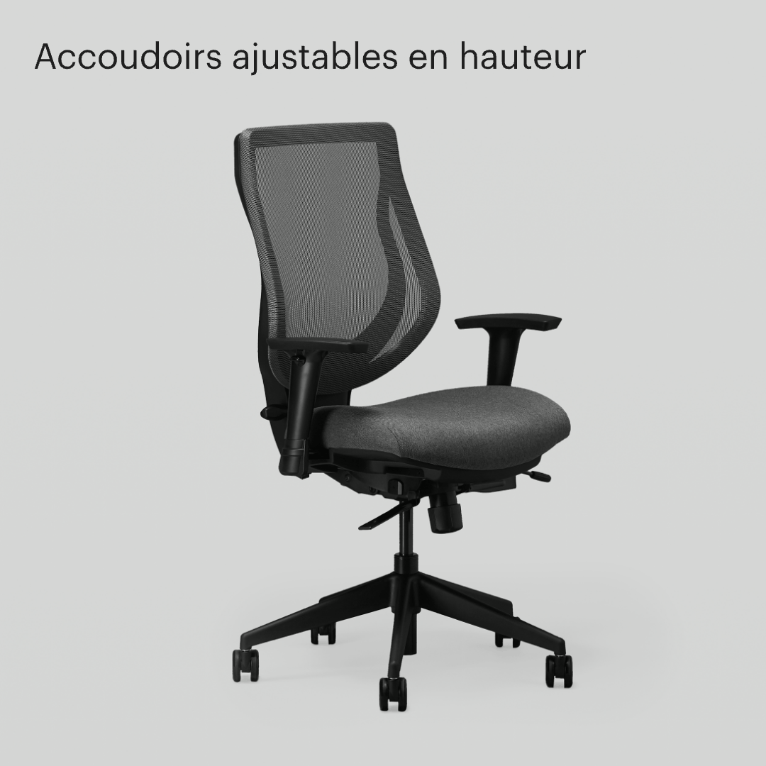 Noir-Crème – Sable - Cendre-Crème – Sable - Noir-Amande – Argile - Cendre-Amande – Argile - Noir-Fumée – Grès - Cendre-Fumée – Grès - Noir-Fumée – Ombre - Cendre-Fumée – Ombre - Noir-Minuit – Poivre - Cendre-Minuit – Poivre - Noir-Fumée – Bruyère - Cendre-Fumée – Bruyère - Noir-Fumée – Rouille - Cendre-Fumée – Rouille - Noir-Crème – Beige - Cendre-Crème – Beige - Noir-Minuit – Noir - Cendre-Minuit – Noir - Noir-Pierre – Ombre - Cendre-Pierre – Ombre - Noir-Pétale – Rosée - Cendre-Pétale – Rosée