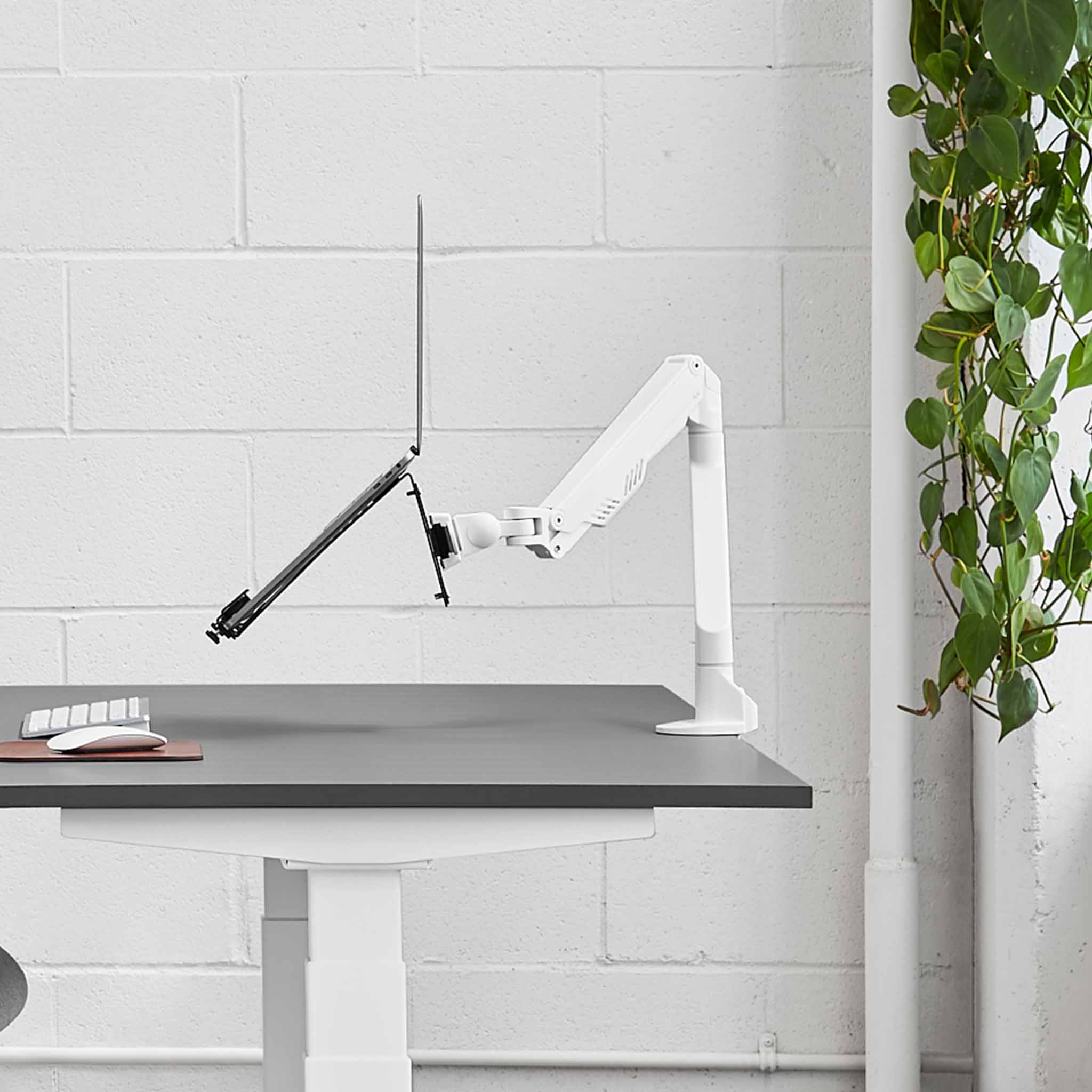 Single Monitor Arm - White-Single-Laptop Tray - Blanc-Simple-Support à portable