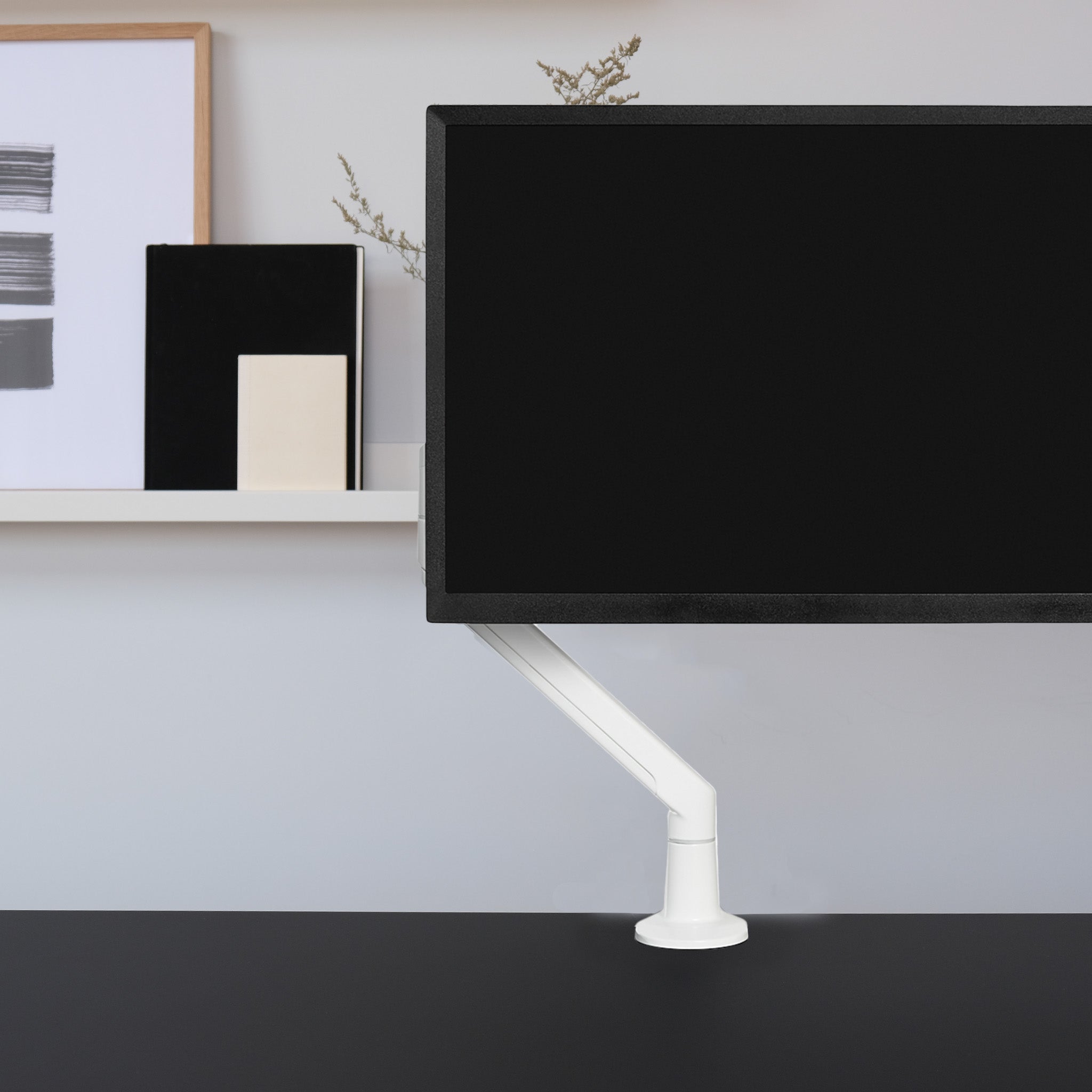 Single Monitor Arm - White-Single-None - Blanc-Simple-Aucun