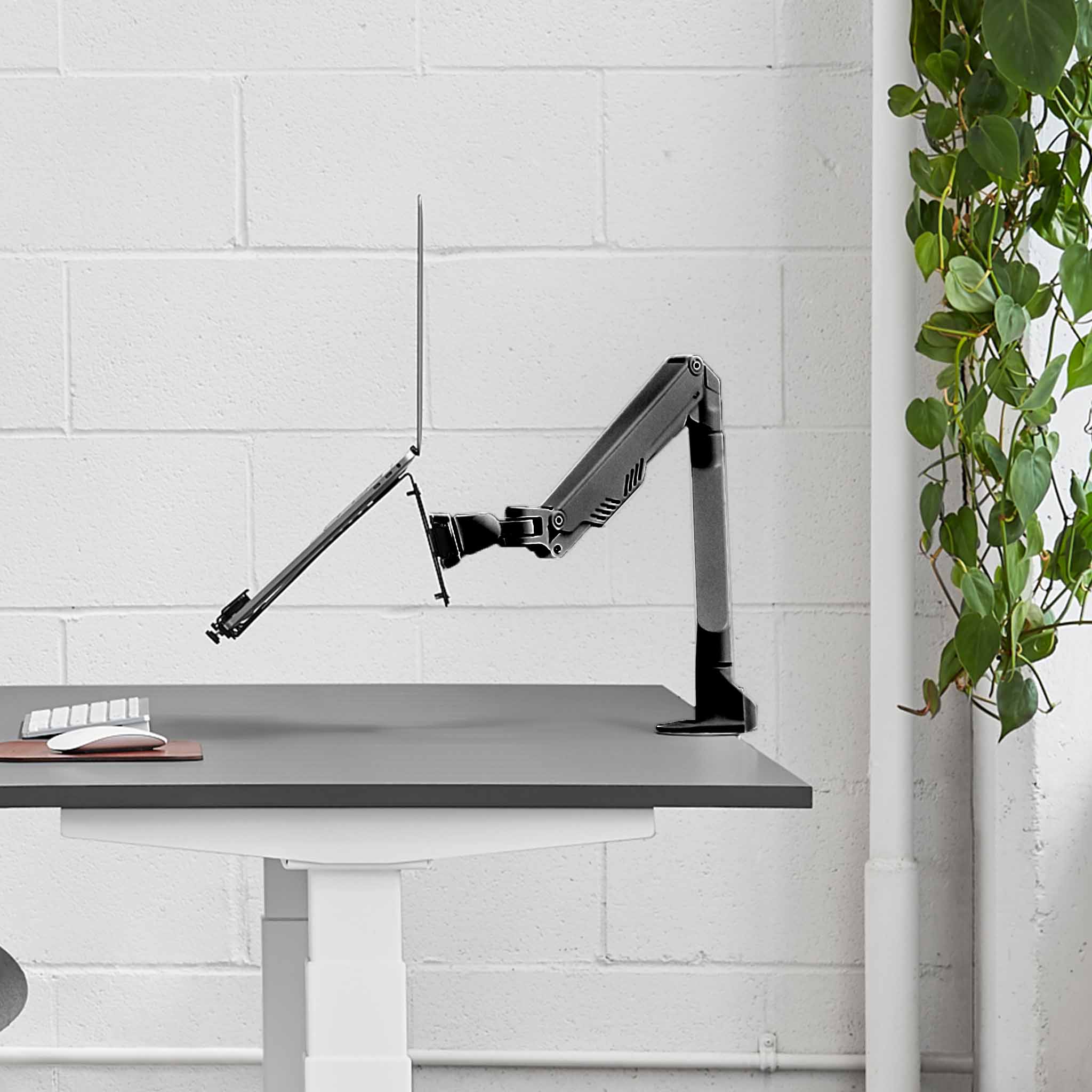 Single Monitor Arm - Black-Single-Laptop Tray - Noir-Simple-Support à portable