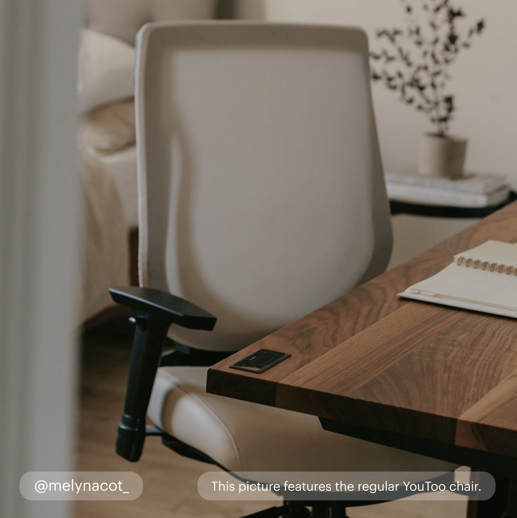 Small YouToo Ergonomic Chair - Black-Cream – Beige - Noir-Cream – Beige