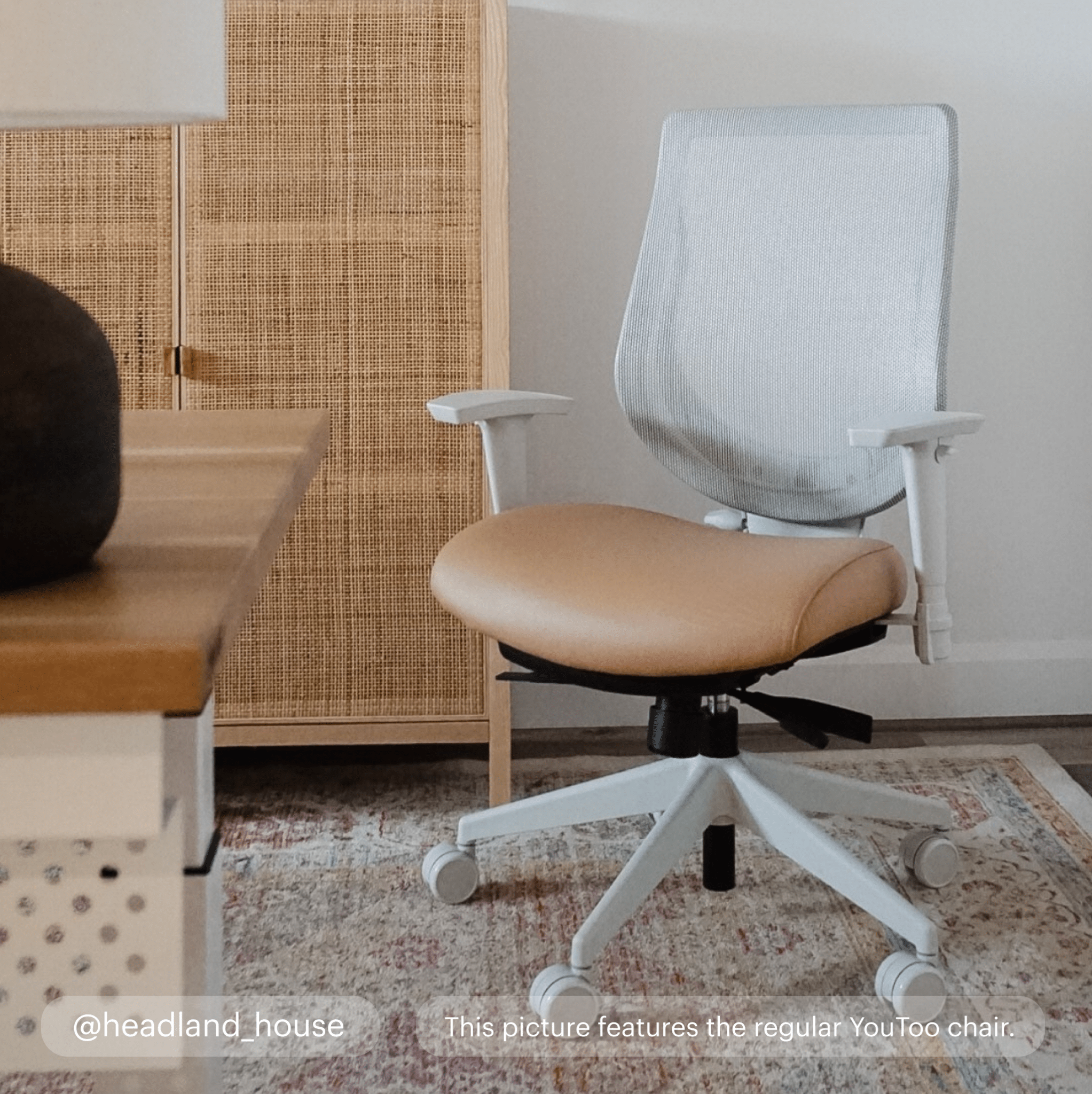 YouToo Ergonomic Chair - Ash-Smoke – Rust