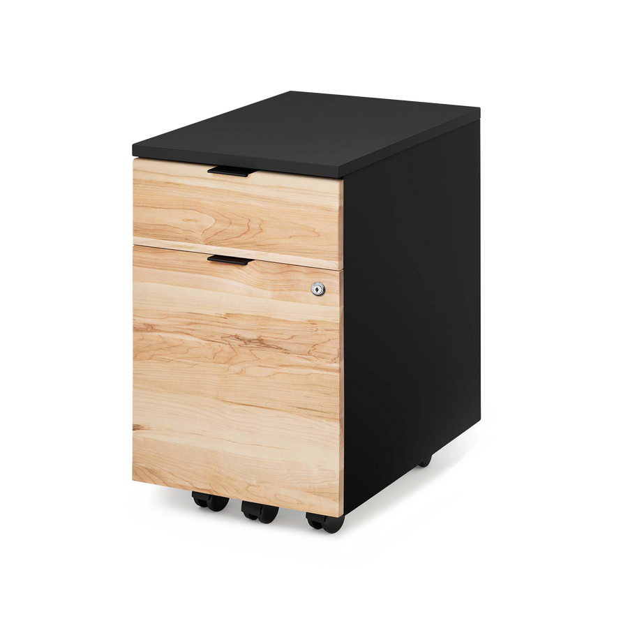 Neat Filing Cabinet - ergonofis