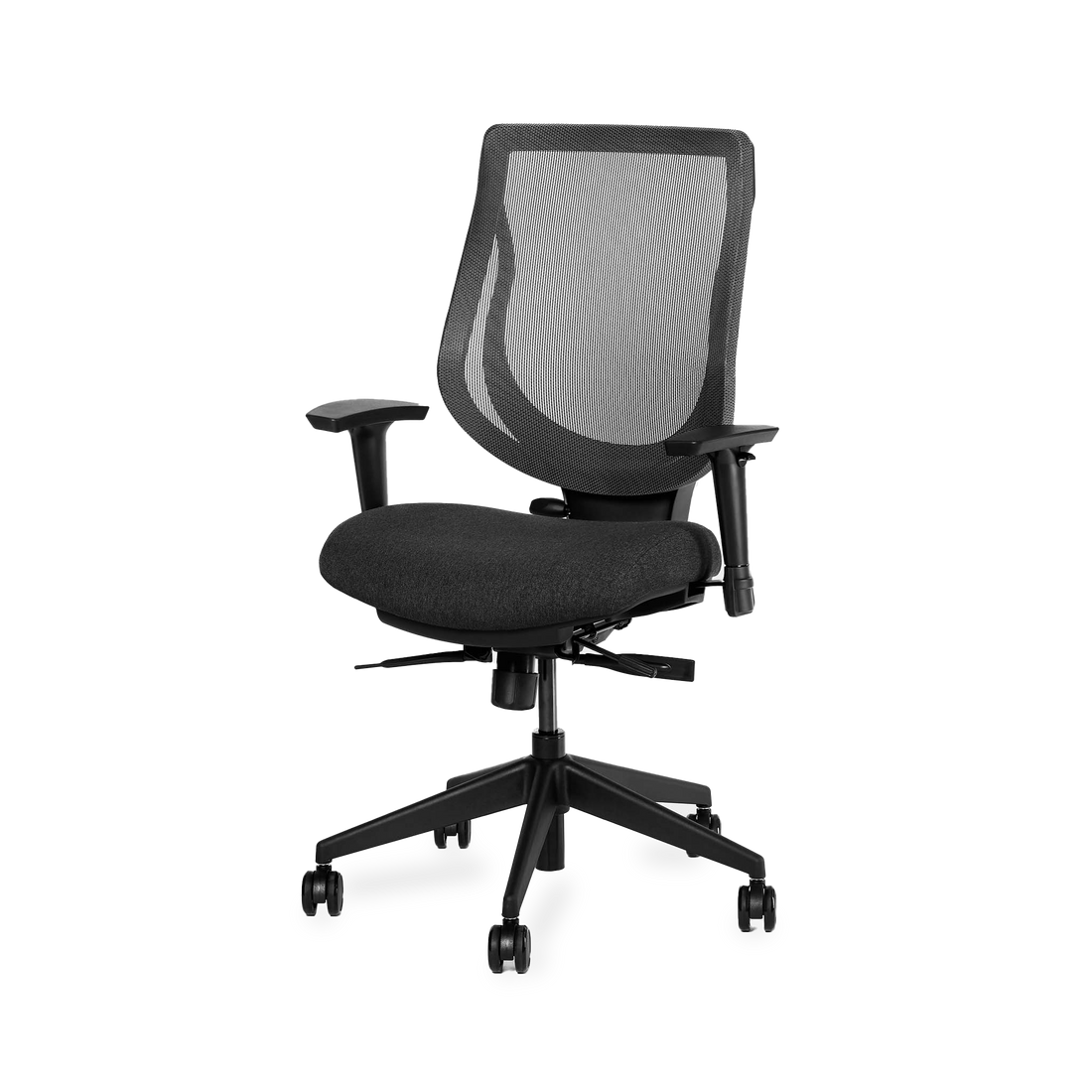 Almost Perfect YouToo ergonomic chair - ergonofis